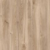 K358 Дуб кастелло медовый